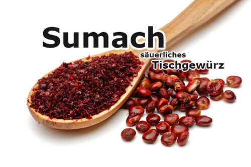 Sumach - das säuerliche Gewürz des Nahen Ostens » gesund.co.at