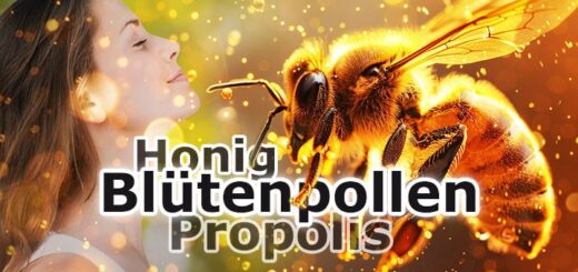 Gesund durch das Frühjahr mit Honig, Blütenpollen und Propolis