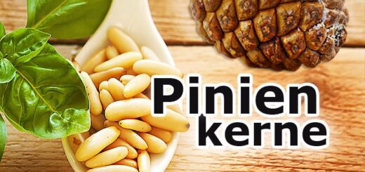 Pinienkerne: teuer, aber gesund und gut