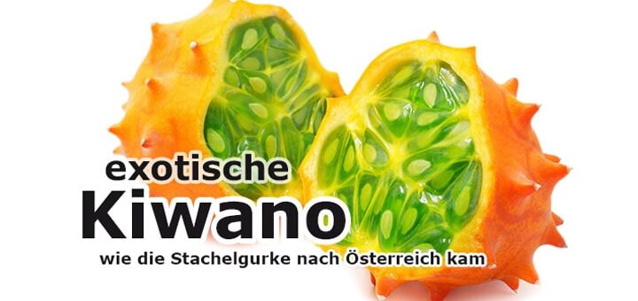 Kiwano: Die exotische Superfrucht erobert Österreichs Obstregale