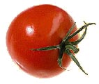 Tomate, auch als Paradeiser bekannt